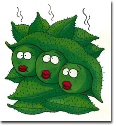 笠松　洋